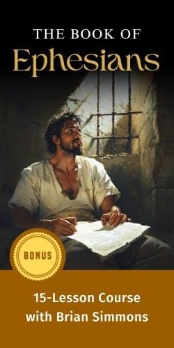 Bonus course